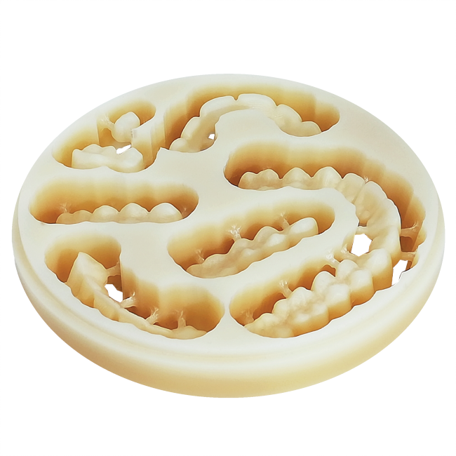 PMMA CAD-CAM BLANKS multilayerBL2