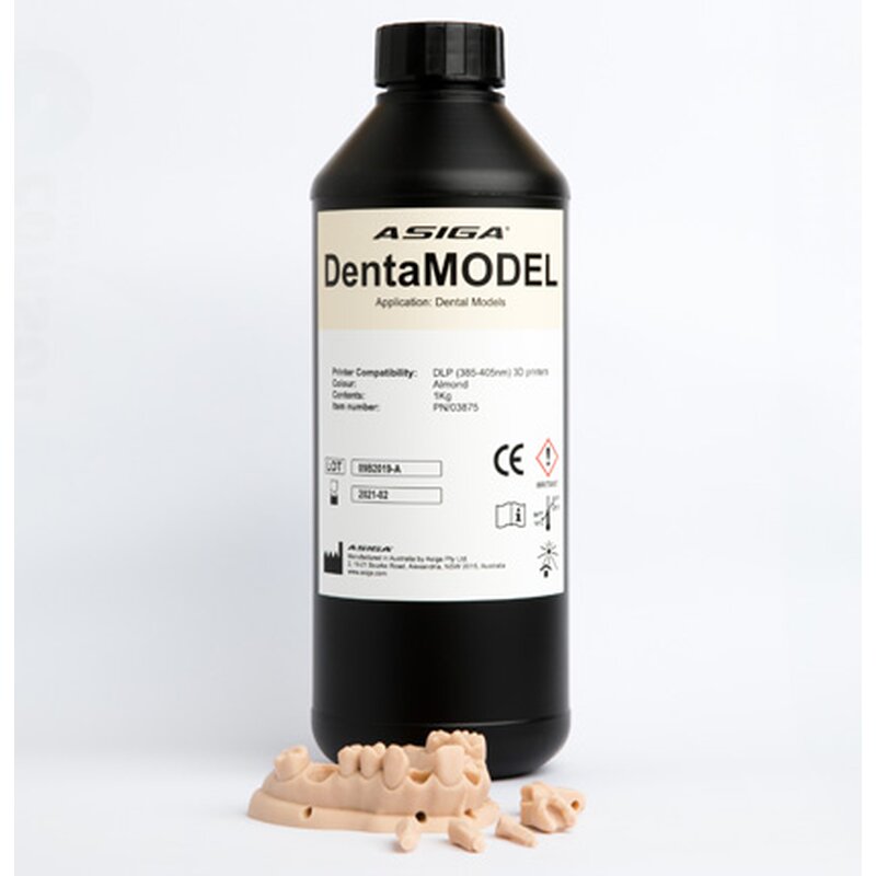 Asiga DentaMODEL Resin Natürlich 1.000 g